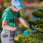 Topiary Gardener Plant Shaper at Work. Professional Gardener in the Beautiful Garden Full of Fancy Trees.