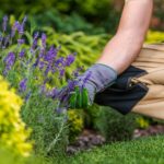 Caucasian Gardener in His 40s with Large Scissors in Hand and the Garden Maintenance Job.