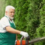 Side view of edery gardener with grey beard wearing green uniform and gloves cutting overgrown hedge using electric trimming machine. Senior man landscaping and taking care of outdoors plants.